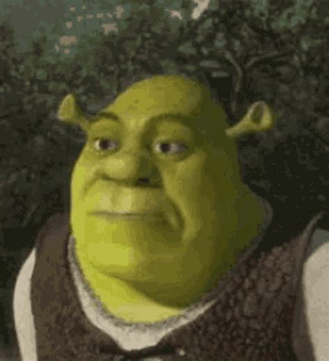 shrek porn gif|Shrek porn, Rule 34, Hentai .